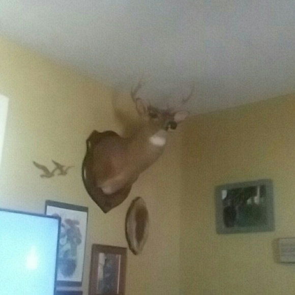 Meet your Posher, Bryan - Picture 1 of 1